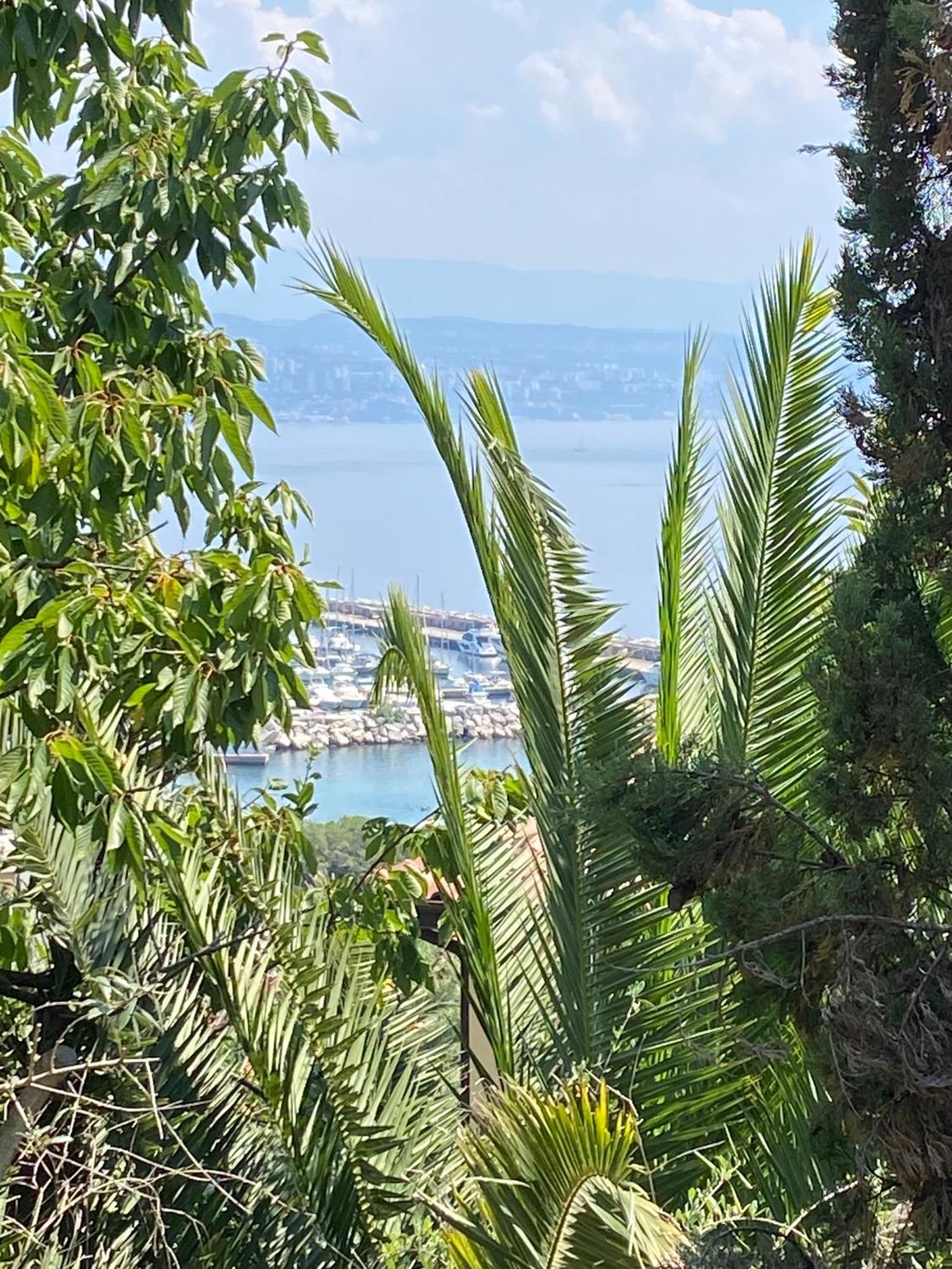 Villa Salyna Ičići Esterno foto