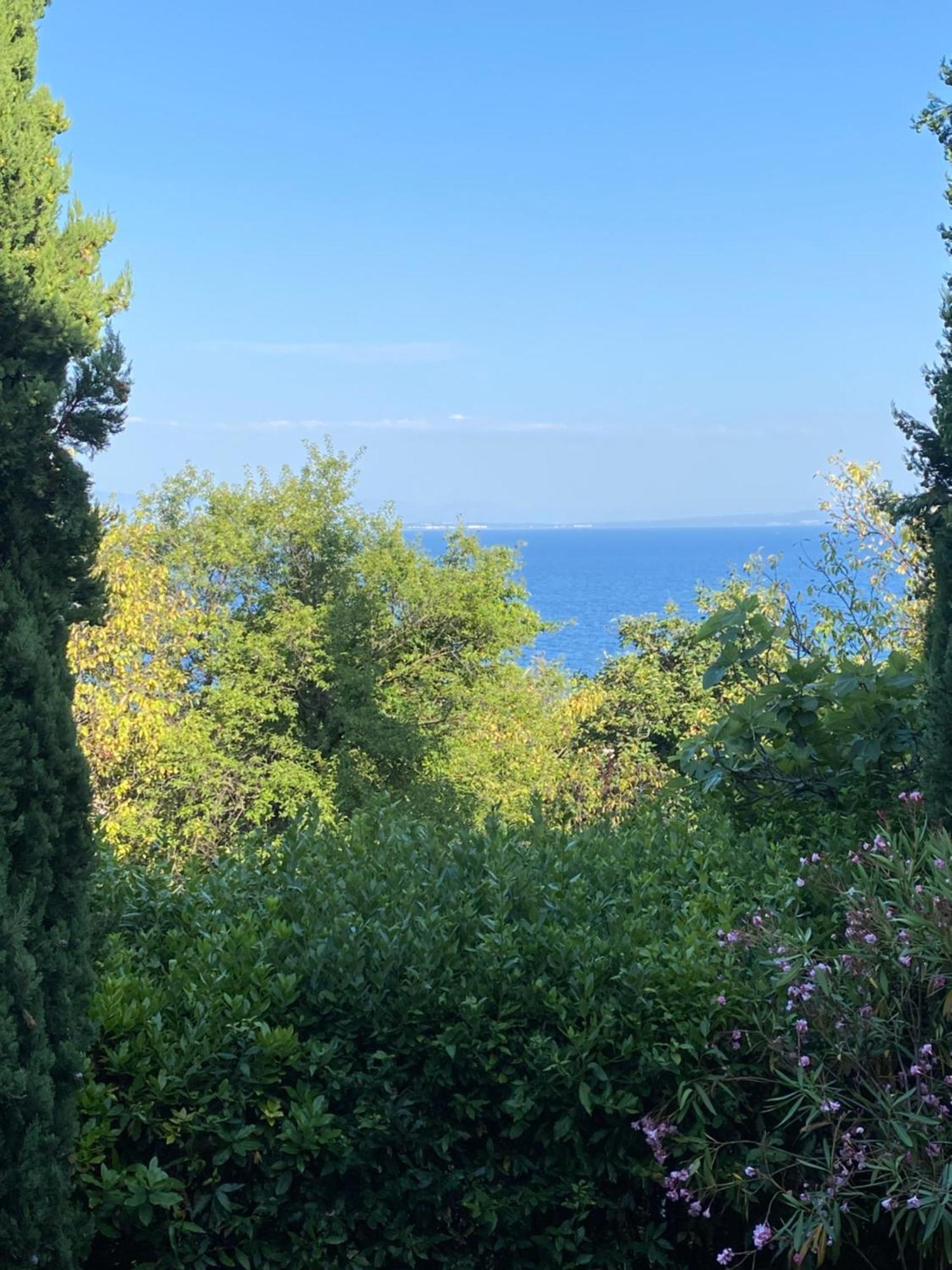 Villa Salyna Ičići Esterno foto