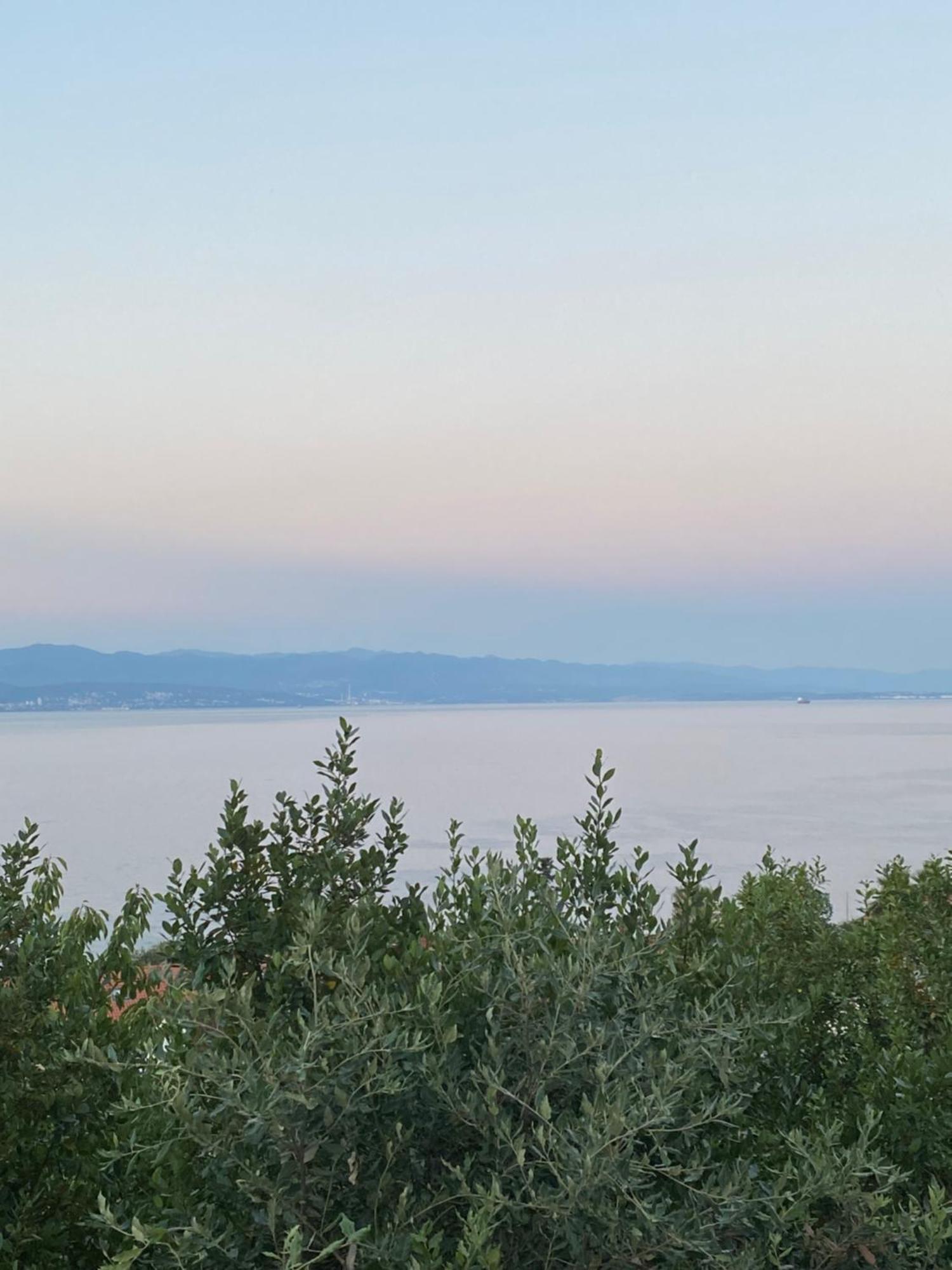 Villa Salyna Ičići Esterno foto